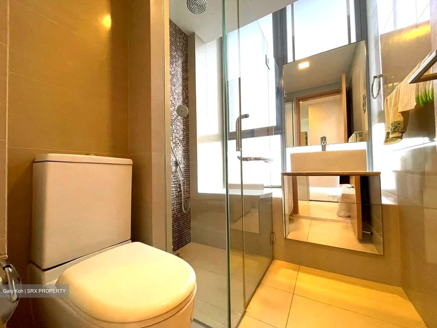 Angullia Park Residences @ Orchard (D10), Apartment #613005921